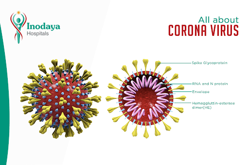 All About Corona Virus